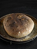 Brot, Brotlaib, rund, gebacken Backofenrost