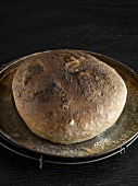 Loaf of round bread on oven rack