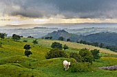 View of Brecon Beacons National Park and storm clouds in sky at Wales, UK