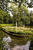Hostas in pond at Graflicher Park, Teutoburg Forest, Germany