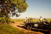Südafrika, Safari, Jeep, Touristen, Sightseeing, lauern, warten