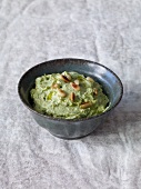 Pesto and pine nuts cheese spread in bowl