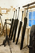 Row of saw tools in museum of Fort William Stone, Steinhude, Lower Saxony, Germany