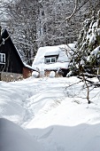 Upper Lusatian Mountains with house covered with snow in forest