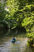 People canoeing in river surrounded with trees, Hannover, Germany