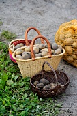 Potatoes in wicker baskets
