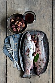 Two trout fish in red wine on plate
