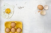 Eggs, egg shells and fried egg