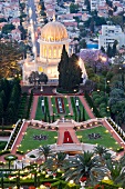 View of Shrine dome with steps and palm trees at Bahai Garden, Haifa, Israel