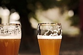 Bayern, Zwei gefüllte Biergläs er, halber Liter