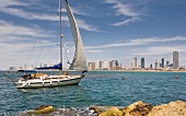 Israel, Tel Aviv, Mittelmeer, Segelboot