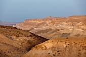Israel, Wüste Negev, bei Wadi Hawarim