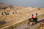 Palestinians walking with donkey on Judean desert near Jericho, West Bank, Israel