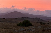 View of mountains and landscape at dawn, Galilee, Israel