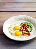 Creamed spinach and egg with chanterelles on plate, Bavaria, Germany