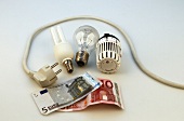 Light bulb, energy saving lamp, power cord and money