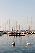 View of boats moored in Lake Geneva, Lausanne, Canton of Vaud, Switzerland