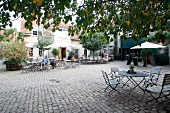 Steitz Weingut Stein-Bockenheim