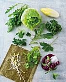 Different types of lettuce, herbs and sprouts on white background