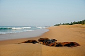 View of Hikkaduwa beach and Dodanduwa Indian Ocean, Sri Lanka