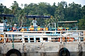 Tourist in whale watching boat at Mirissa, Sri Lanka