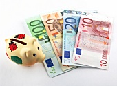 Rolled twenty euro currency note on white background