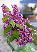 Close-up of purple lilac flowers in vase