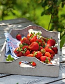 Tray of fresh strawberries on wooden tray