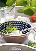 Curd with parsley in bowl