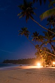 Sri Lanka, Südküste, Tangalle, Strand, Palmen, bei Nacht