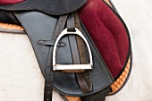 Close-up of saddle on horse back, Germany