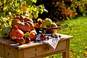 Landküche, Kürbisse, Äpfel und Nüsse auf Holztisch im Garten