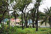 View of house with people at Lesser Antilles, Caribbean island, Barbados