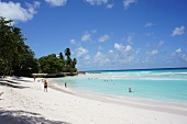 Barbados, Insel der Kleinen Antillen, Karibik, Karibikinsel