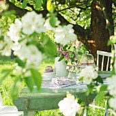 Gedeckter Tisch unter blühendem Apfelbaum