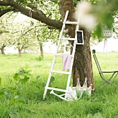 Ladder leaning on blooming apple tree in garden
