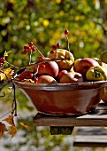 Landküche, Schale mit Äpfeln, Quitten und einem Hagebuttenzweig