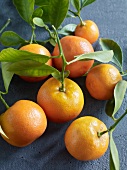 Marmelade, Orangen mit Blätter