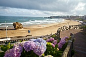 View of beach on Bay of Biscay in Biarritz, France