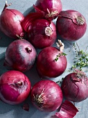 Close-up of red onions