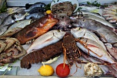 Various fishes in fish market, Bodrum Peninsula, Aegean, Turkey