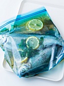 Trout marinated in freezer bag