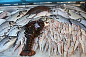 Several fresh fishes and lobster in fish market, Bodrum Peninsula, Aegean, Turkey