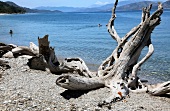 People at Icmeler beach in Dilek Peninsula National Park, Turkey