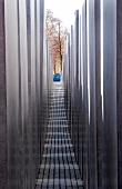Path between field of Stelae Memorial in Berlin, Germany
