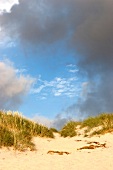 Dark clouds over Fano beach, Denmark