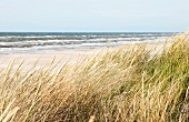 View of sky, beach, sea and dunes at Fano beach, Denmark