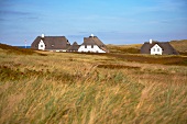 View of thatched cottages on the coast and grass field in Sylt, Germany