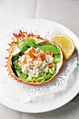 Spider crab filled with salad