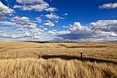 View of landscape with clouds and blue sky in Saskatchewan, Canada